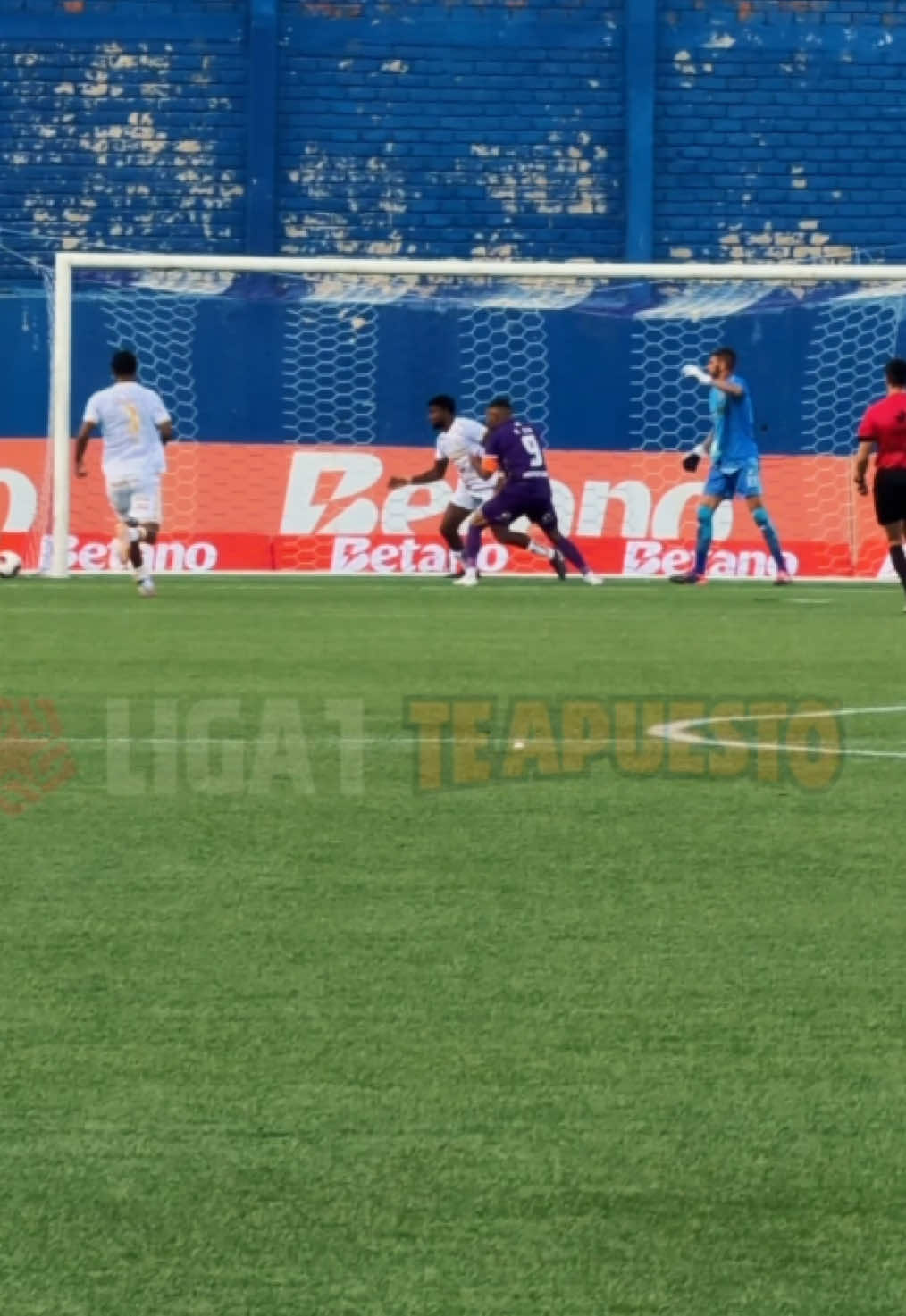 @Liga de F&uacute;tbol Profesional