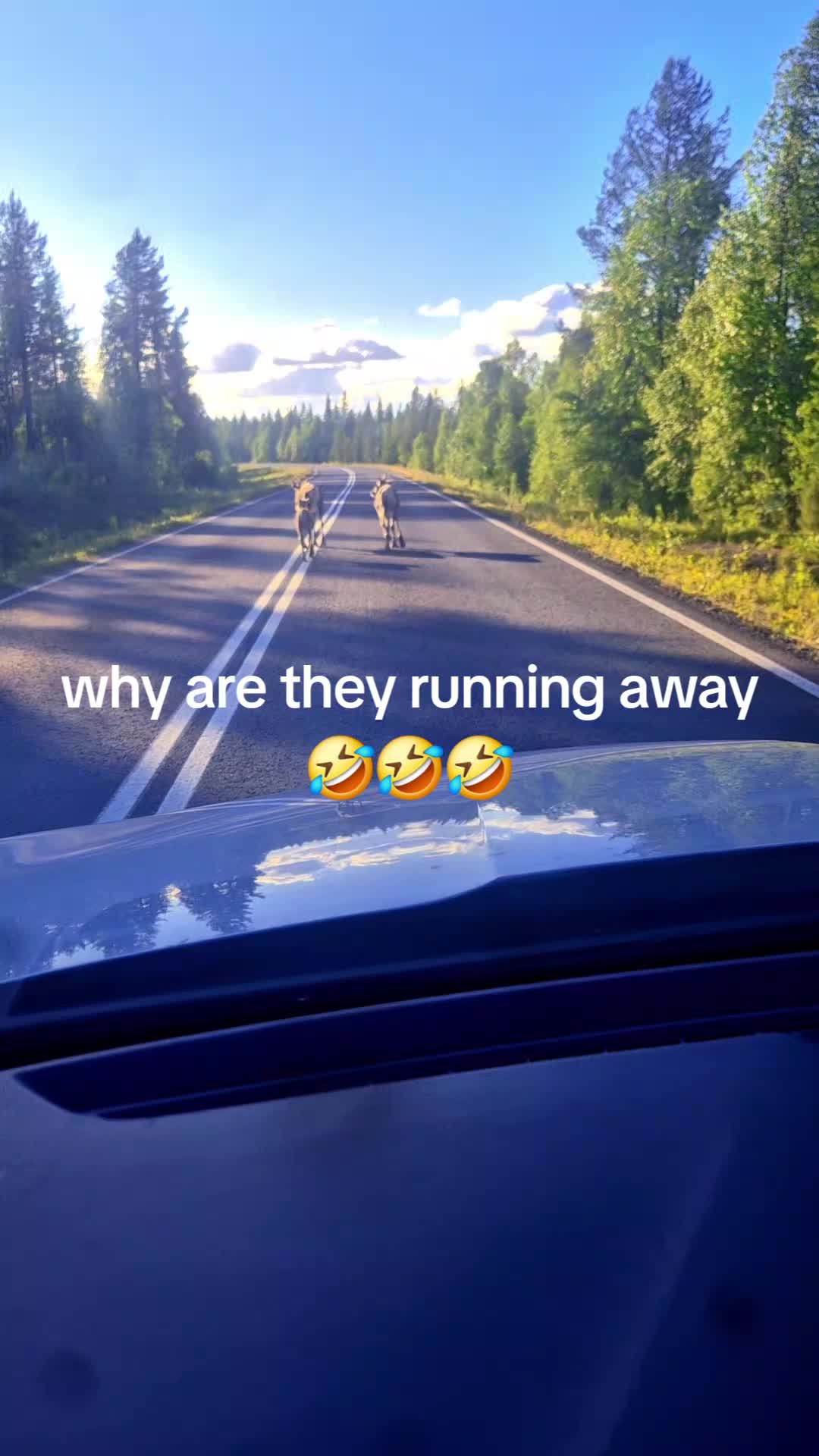 @JJ