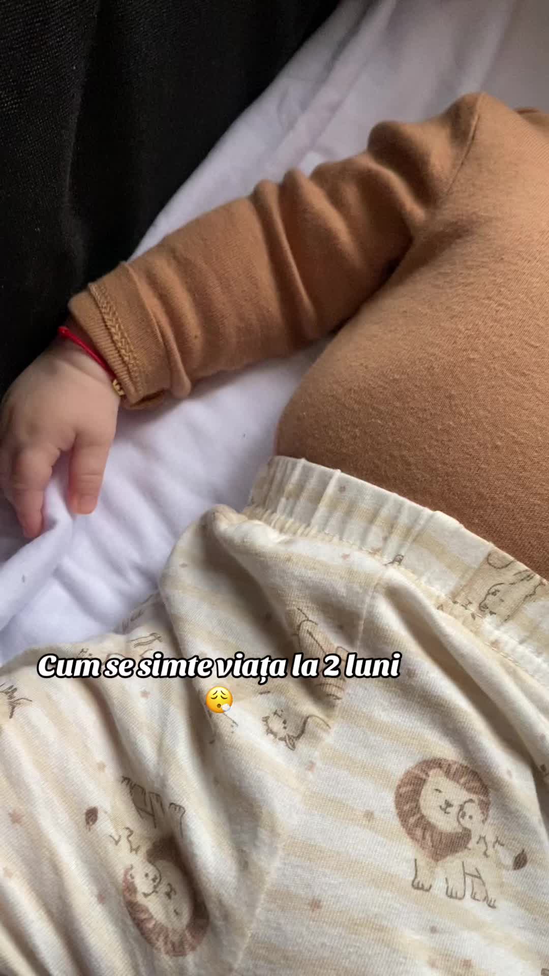@Gabriela Sumanariu