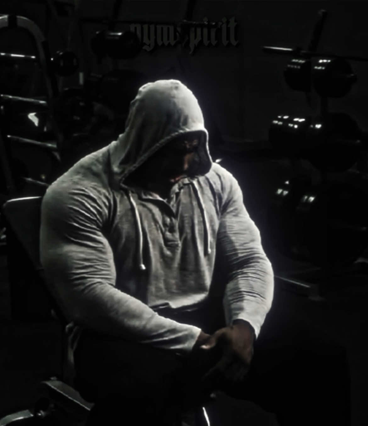 @gymspirit.og