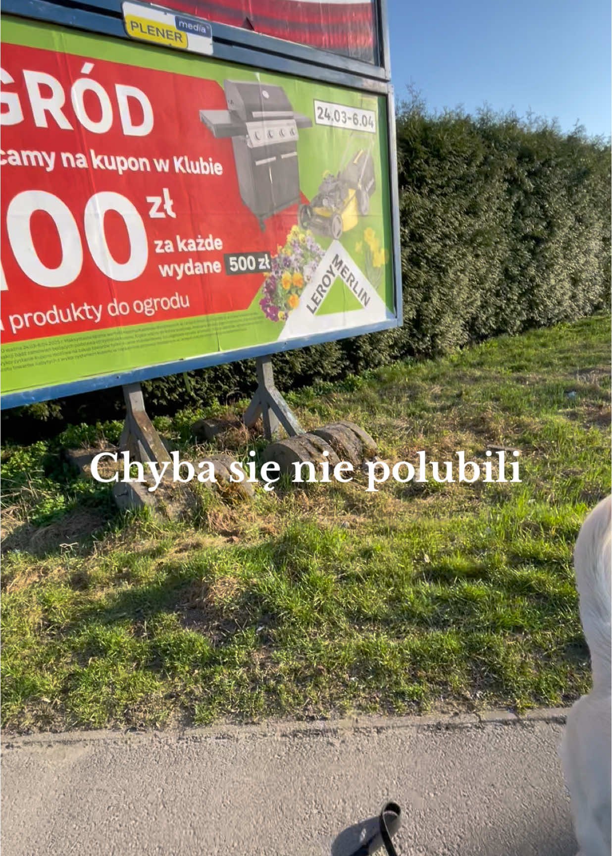 @Przewosnik