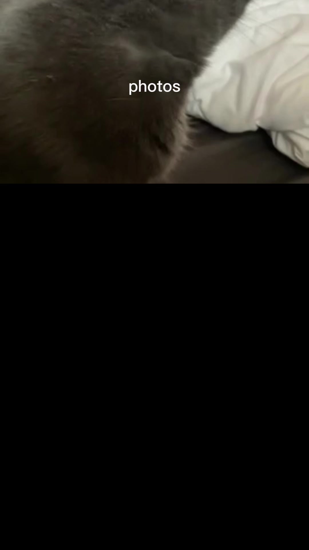 @Kashous #1 dihhsucker