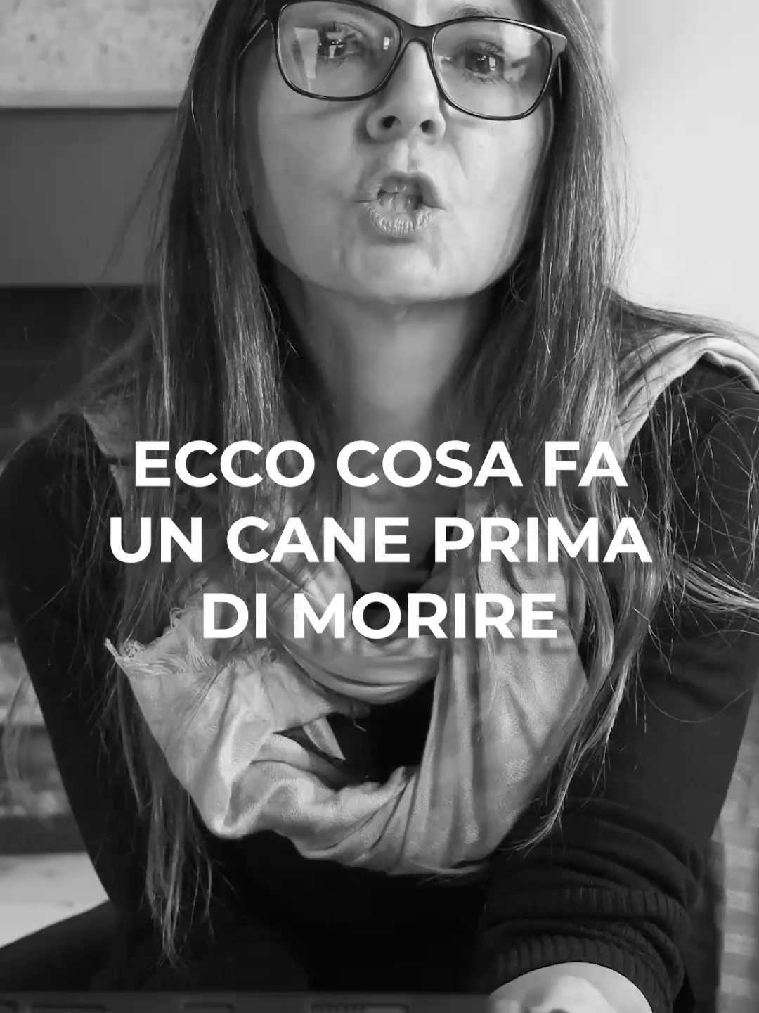 @Amoreaquattrozampe.it