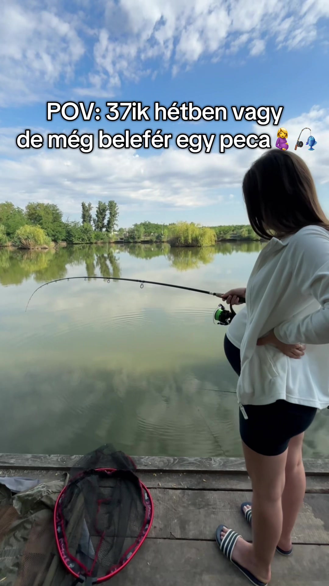 @mester.regina
