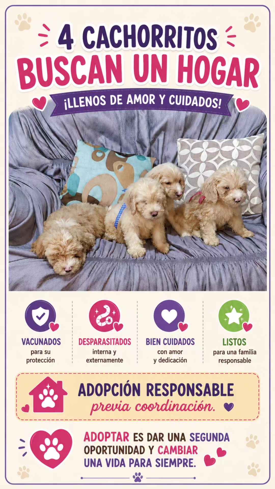 @Perritos Voladores