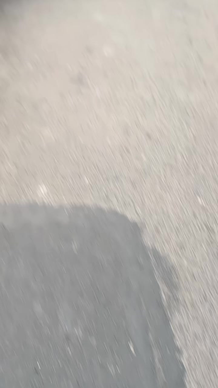@Azurine🦖