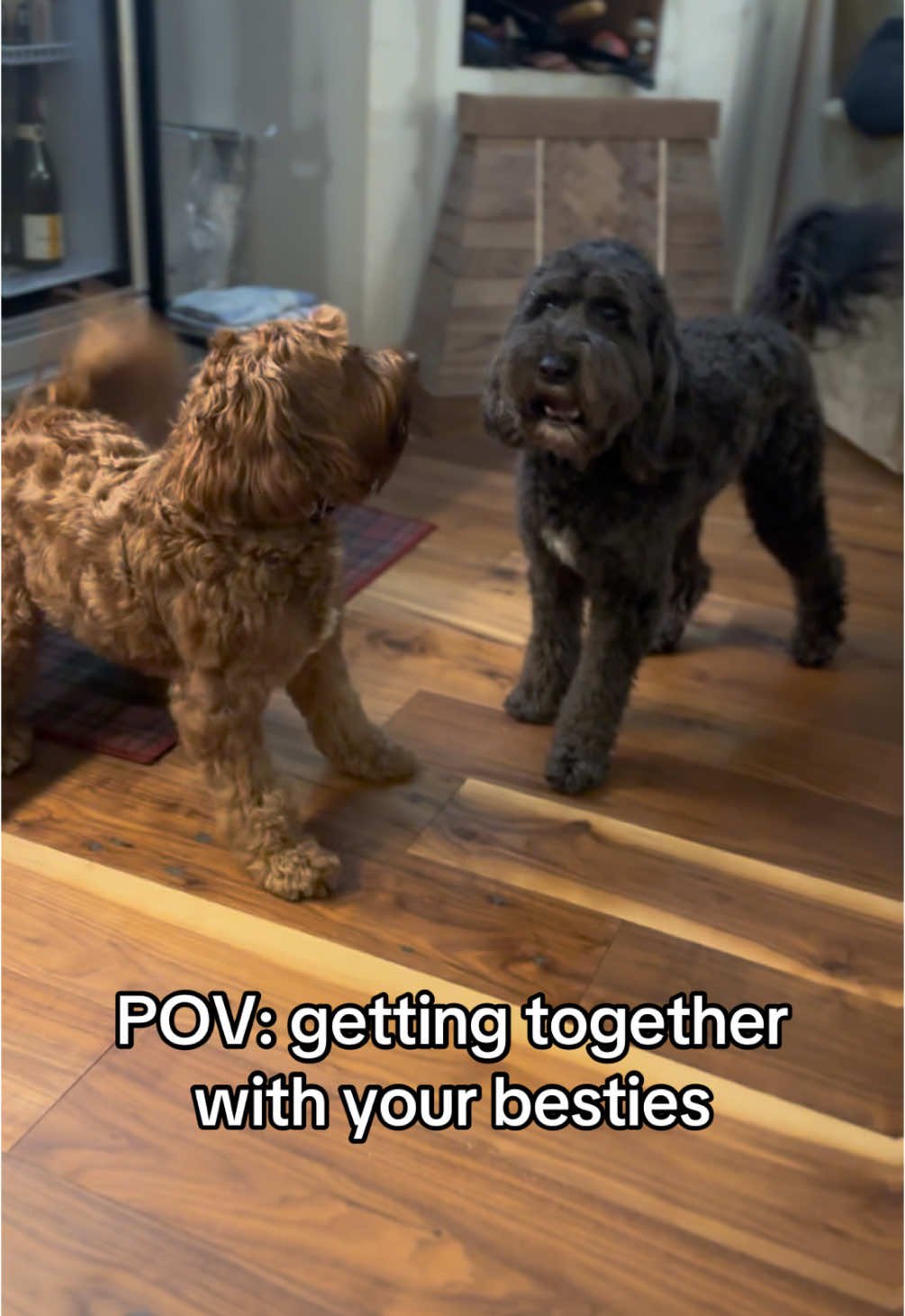 @Dash & Nora