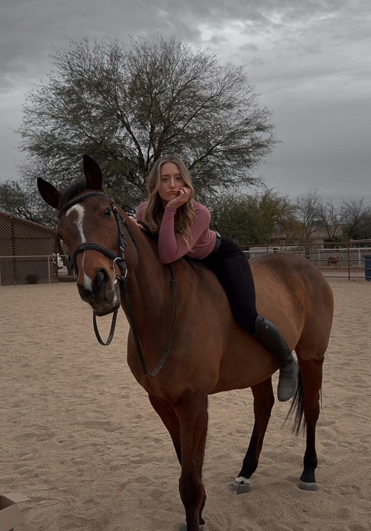 @VictoriaLynnEquestrian