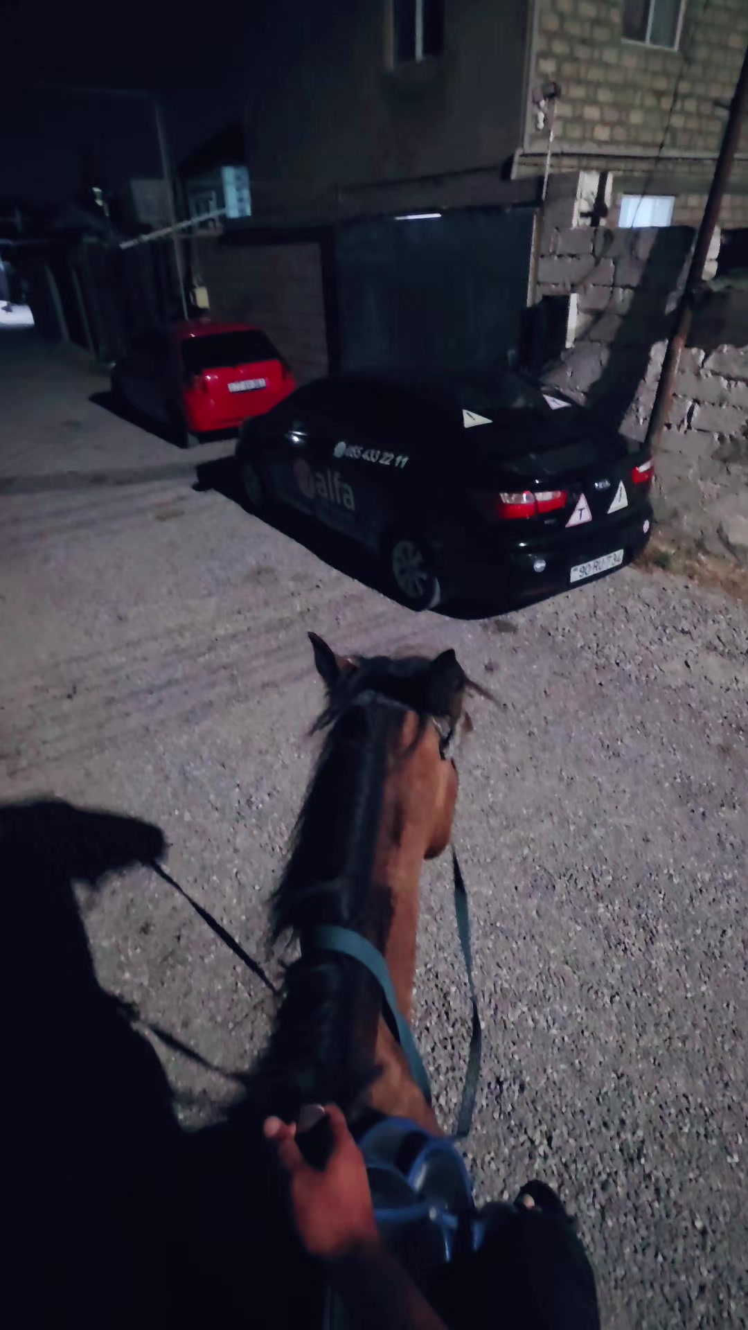 @𝔸𝕍𝕋𝕆 𝕋Ə𝕃İ𝕄 𝔽𝔸ℝℍ𝔸𝔻