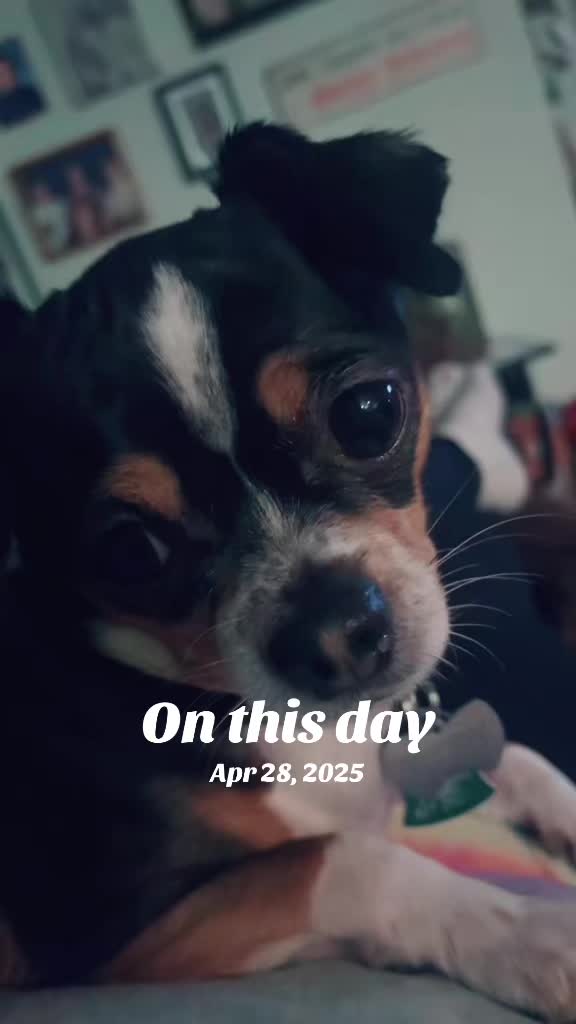 @Whiskeyandtennessee