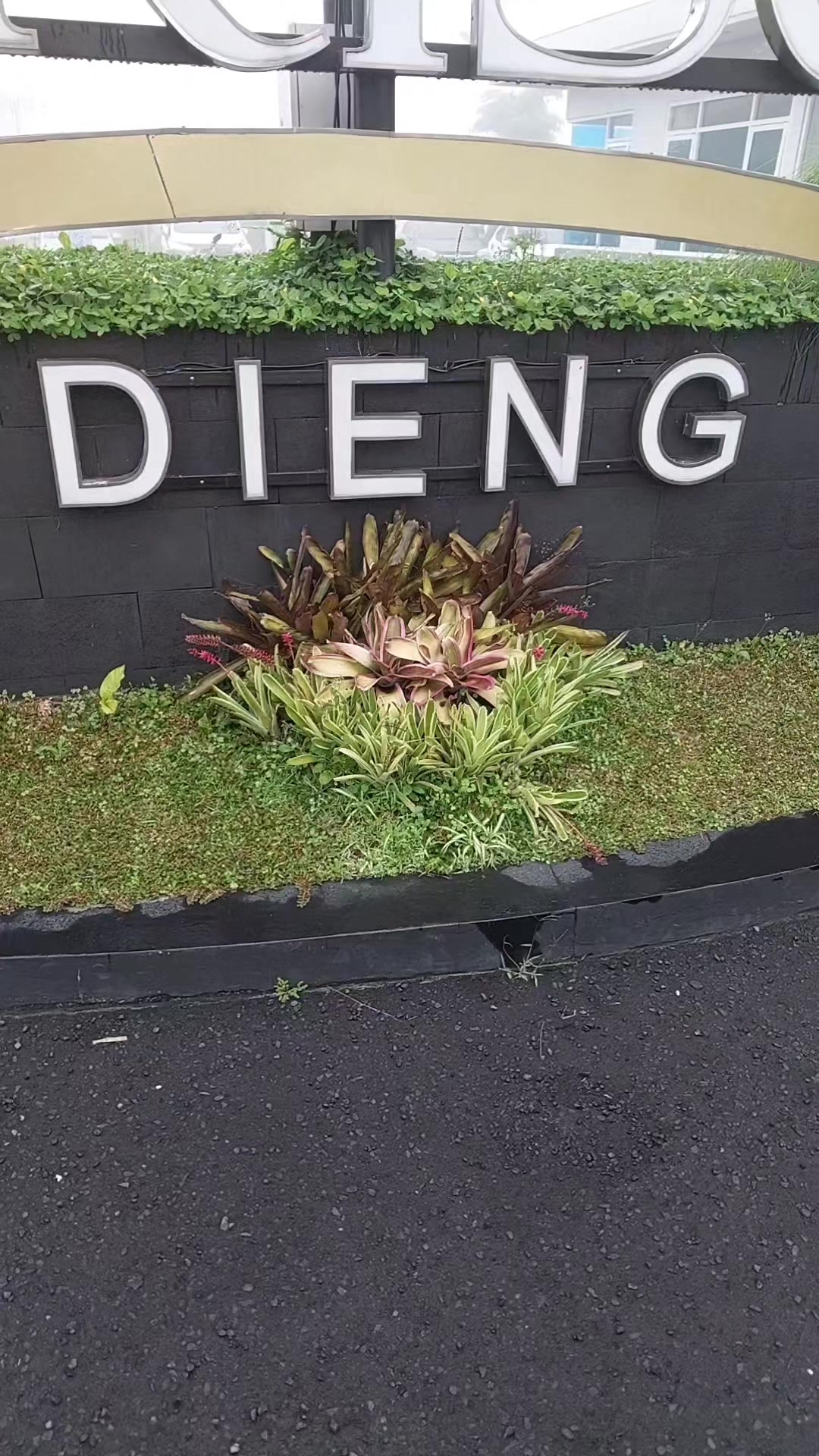 @Pipi Chuby