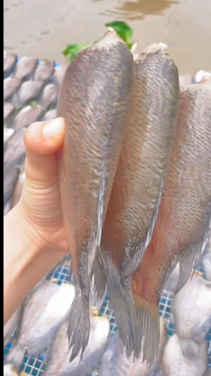 @Quốc Khánh