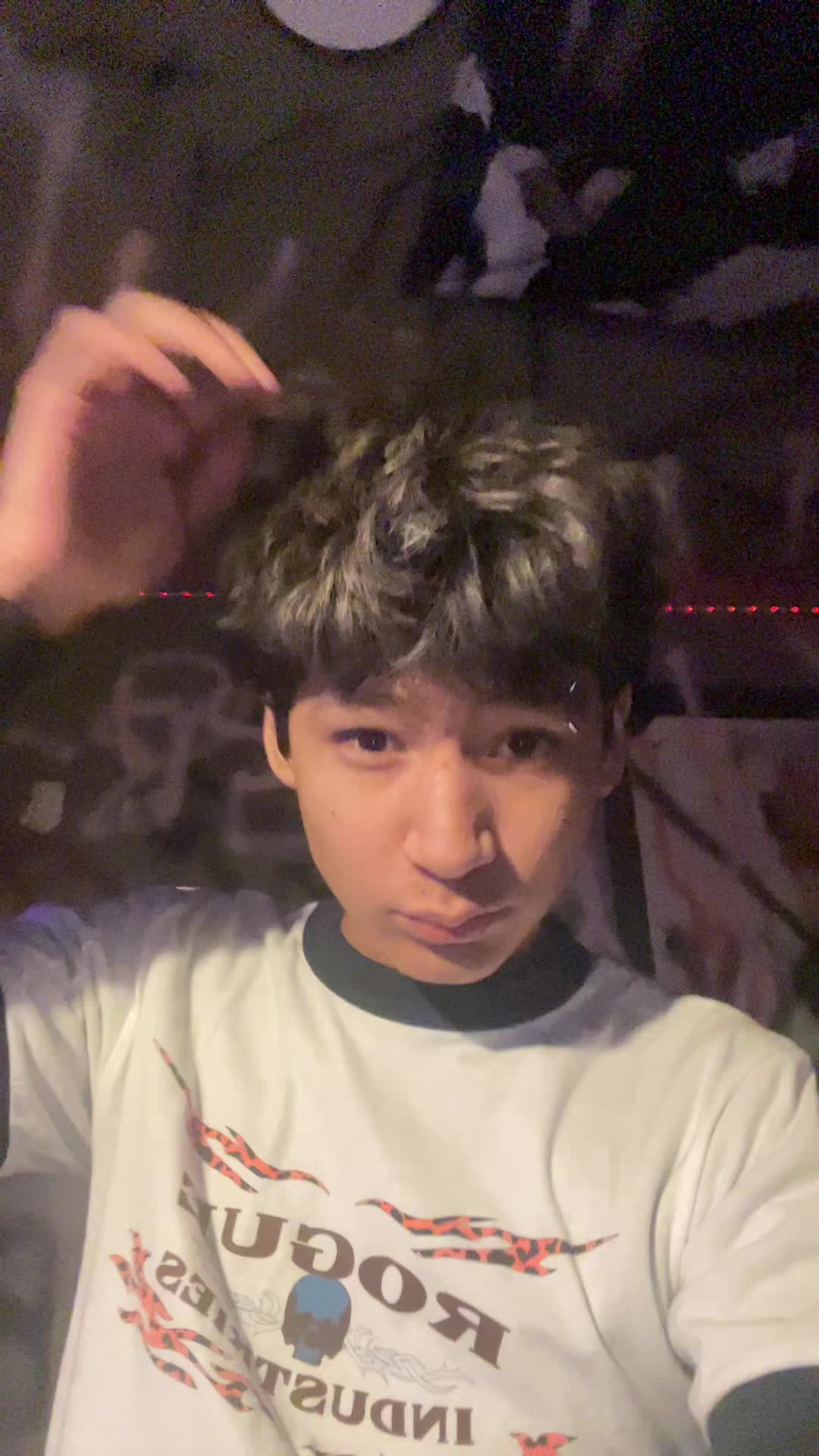 @🦈