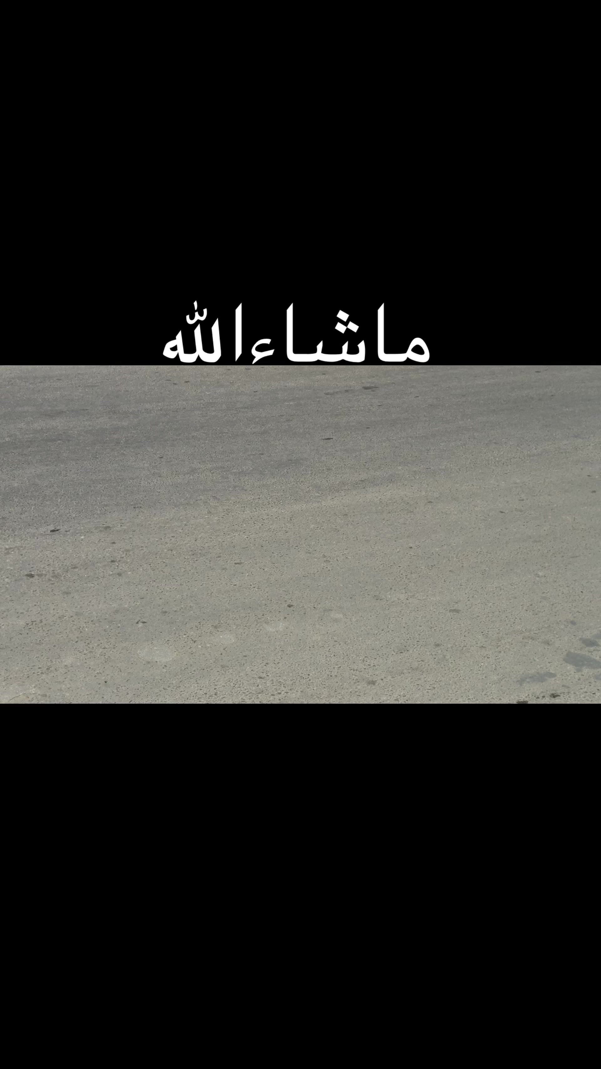 @Toumi