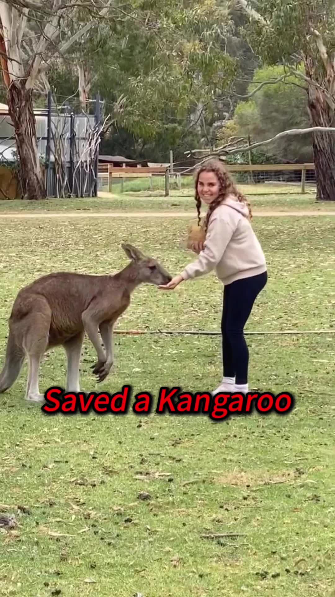 @Kiki_animals22