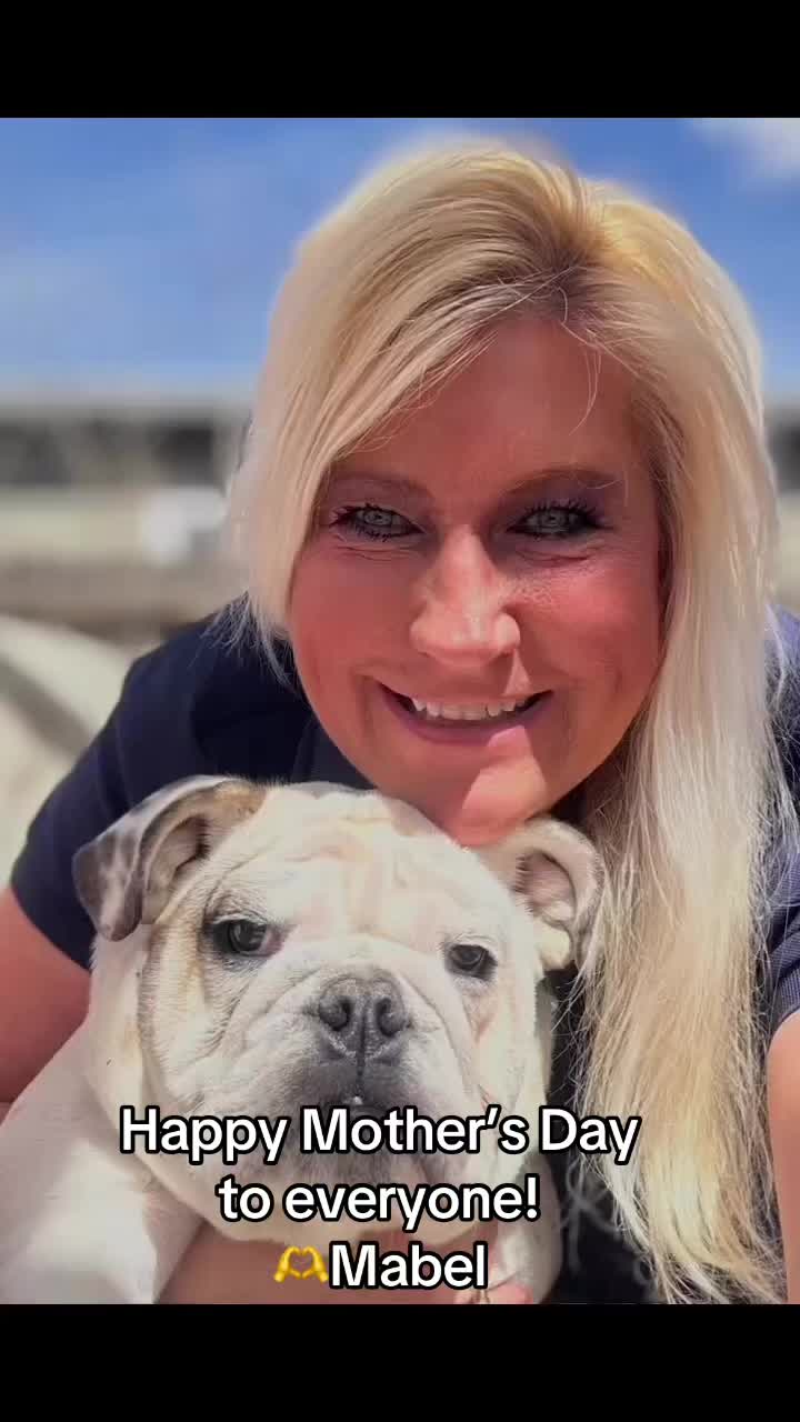 @MabeltheBulldog