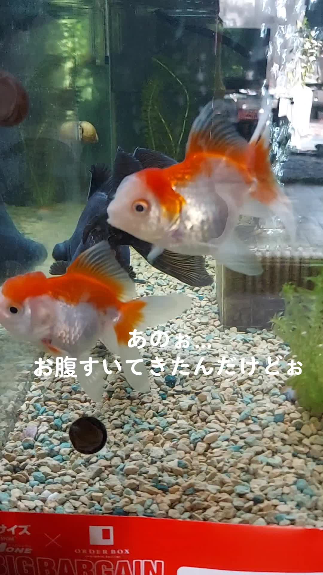 @ゆっこ