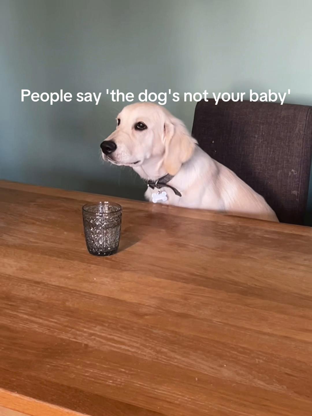 @GoldenBoyCooper