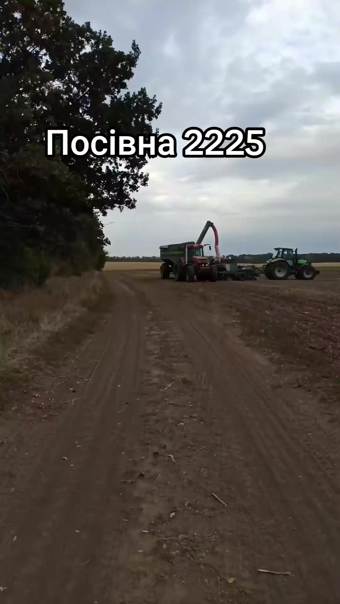 @N_L_S | Sergey