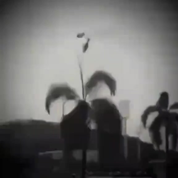 @буба