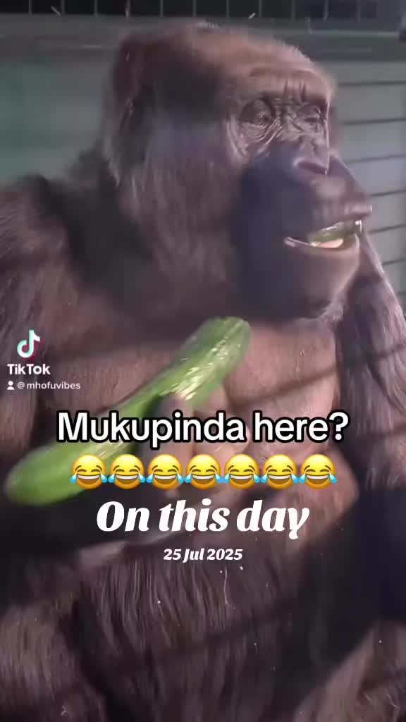 @Mhofuvibes