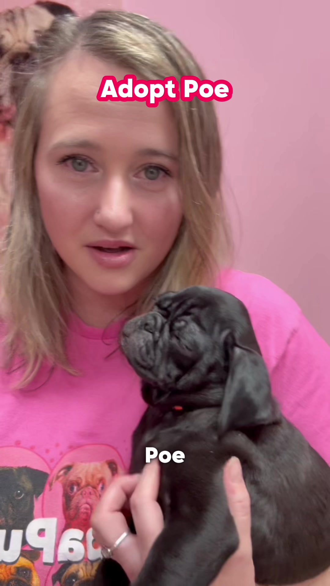 @CuppaPug