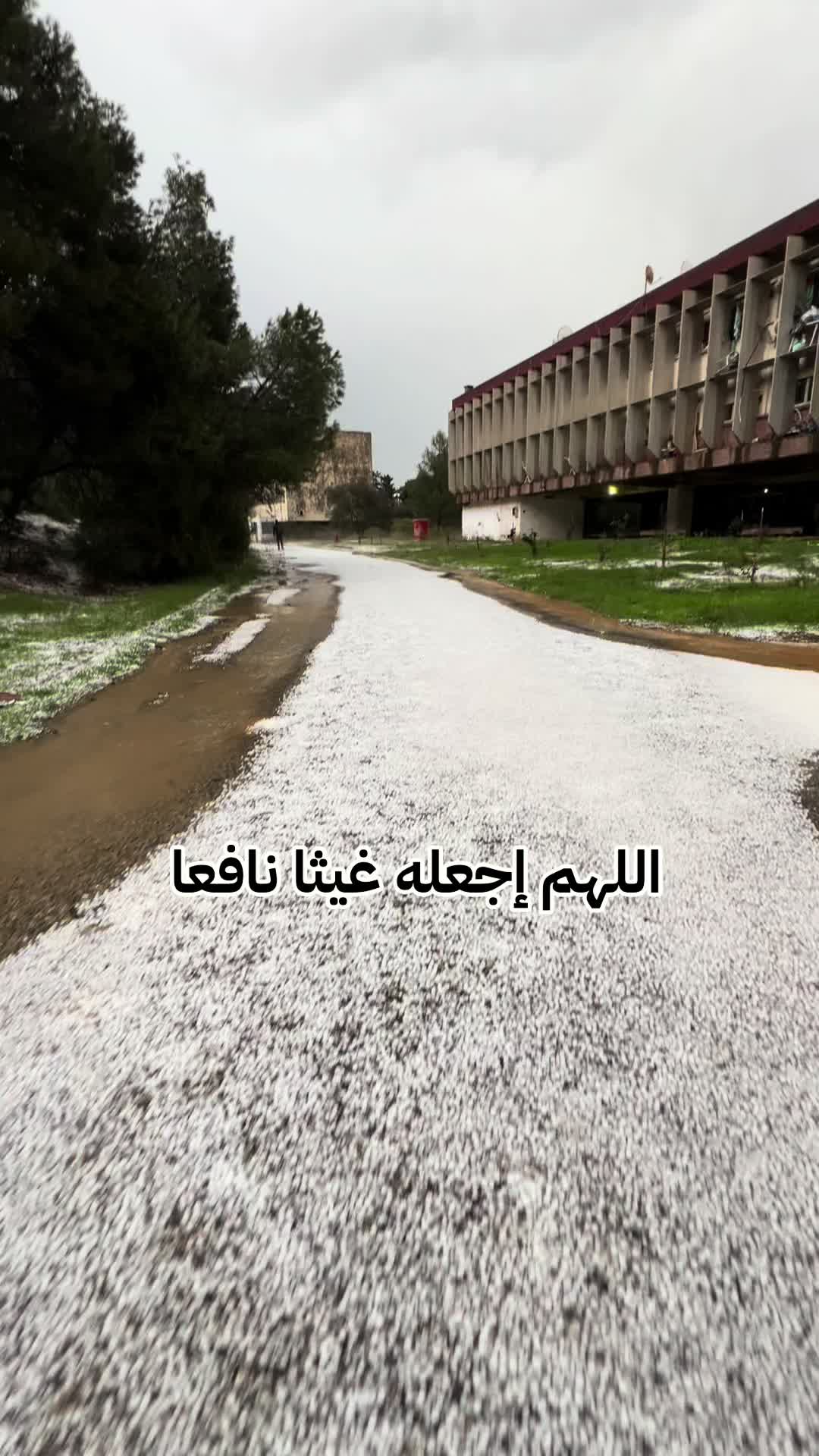 @oullaivlog
