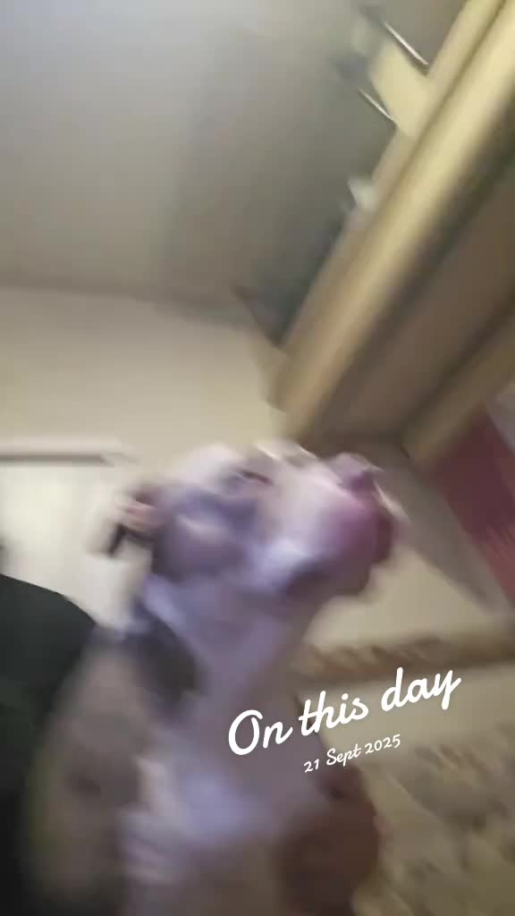 @limp