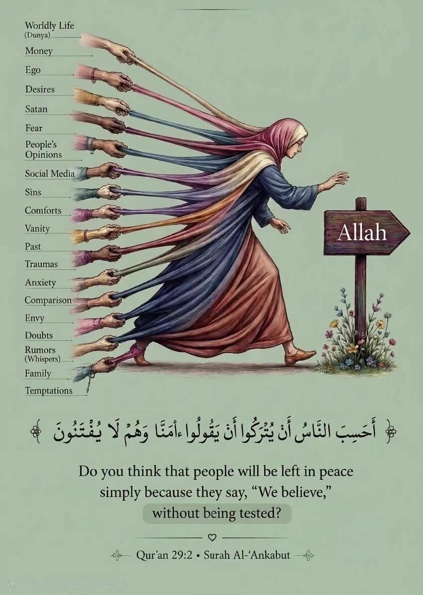 @DeenoverDunya🕊️