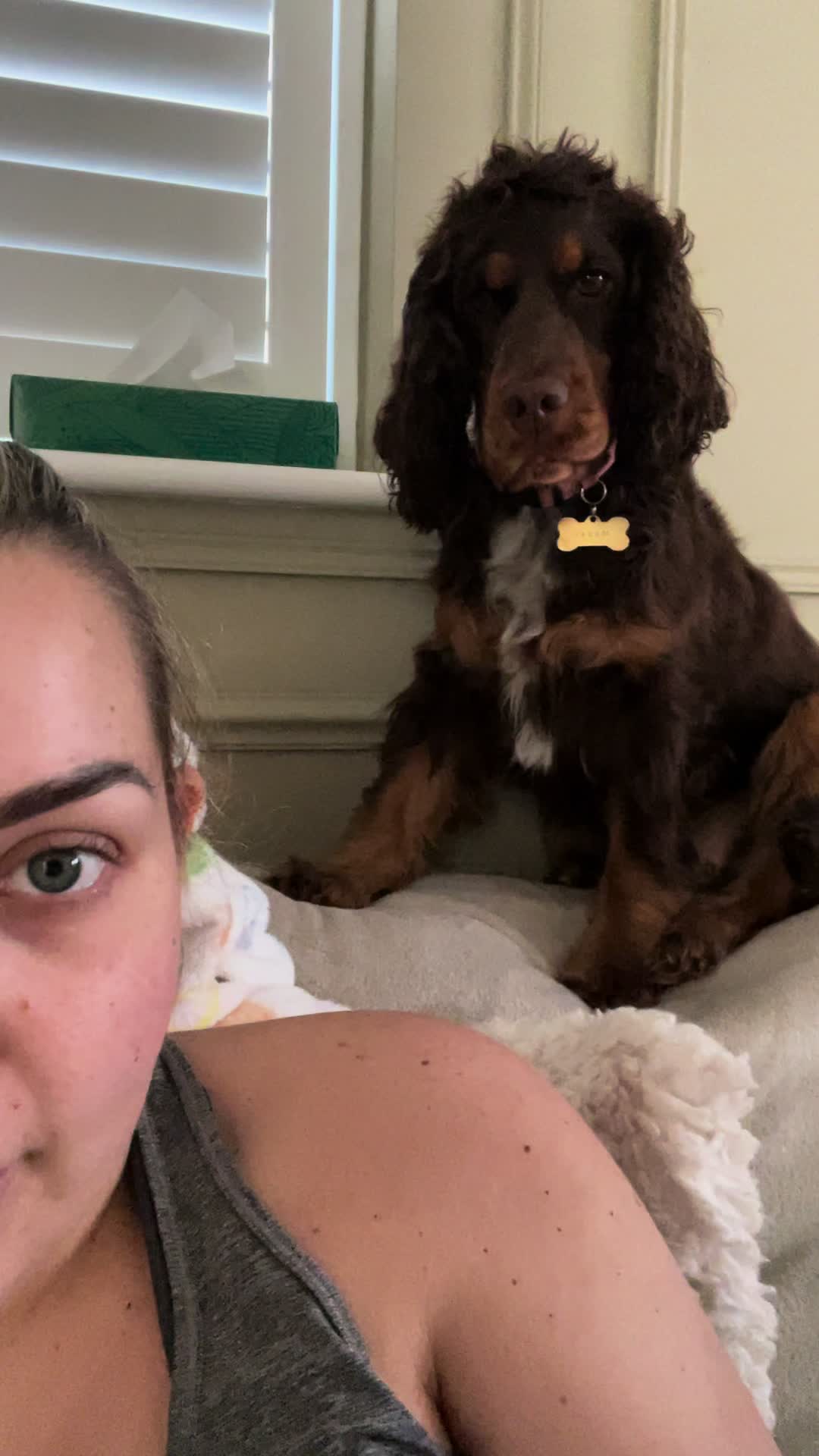 @Thewoodshome