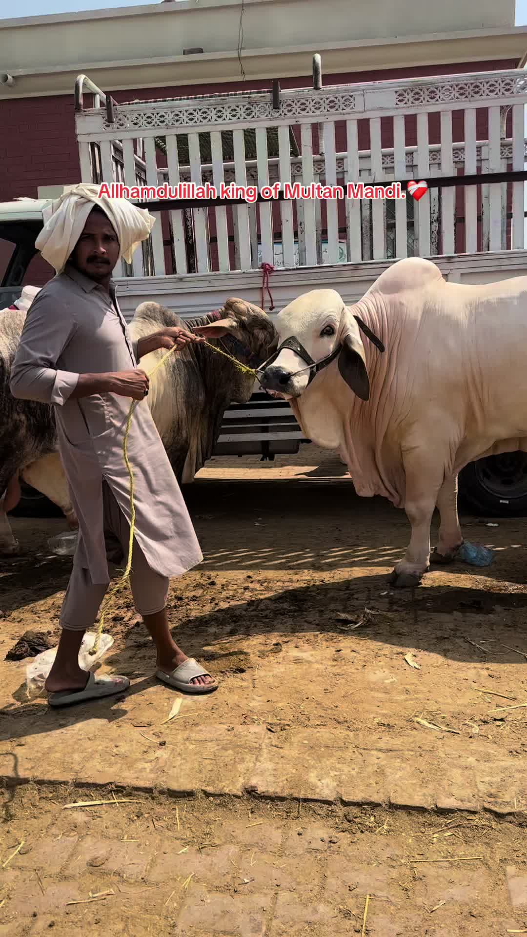 @سبحان کیٹل فارم.🐂🙌