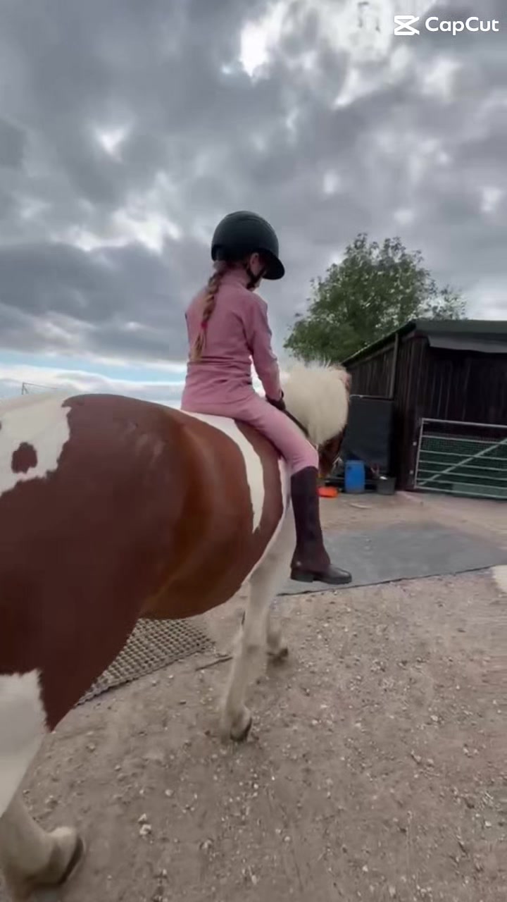 @LottiesHorseAdventures🦄🐴
