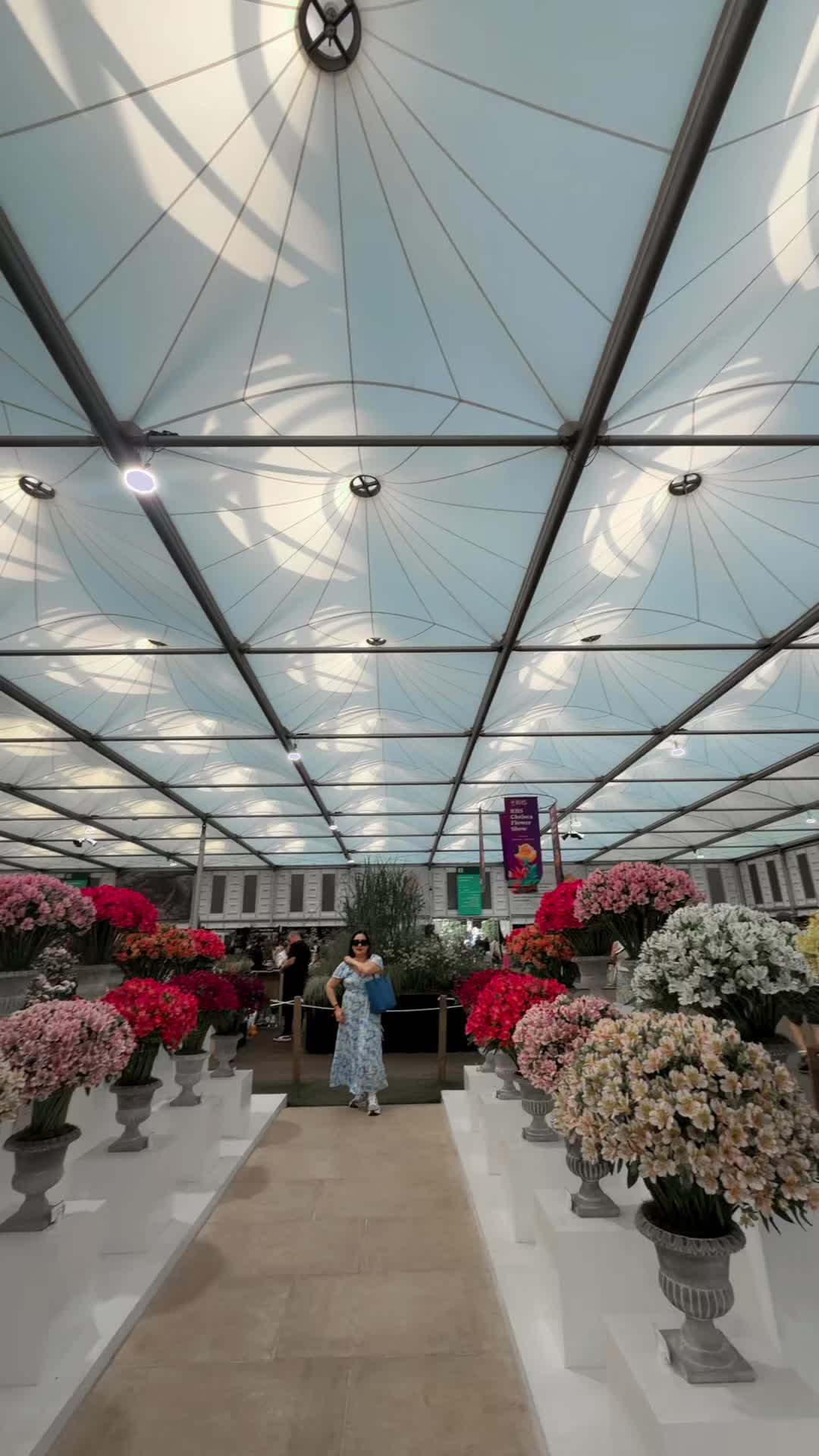 @Kalps 🦋🦄🌷