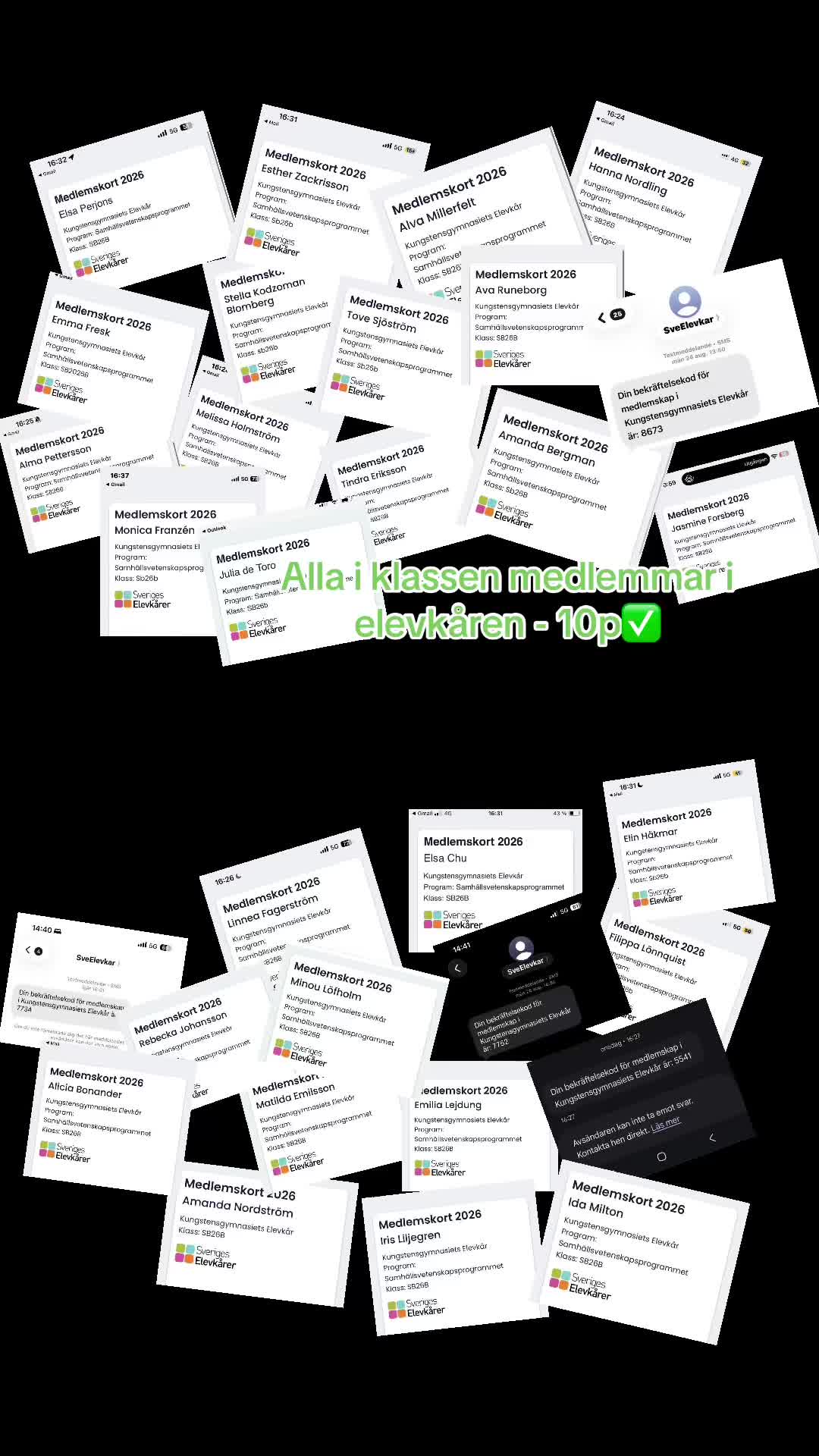 @SB26B 🏆🦄