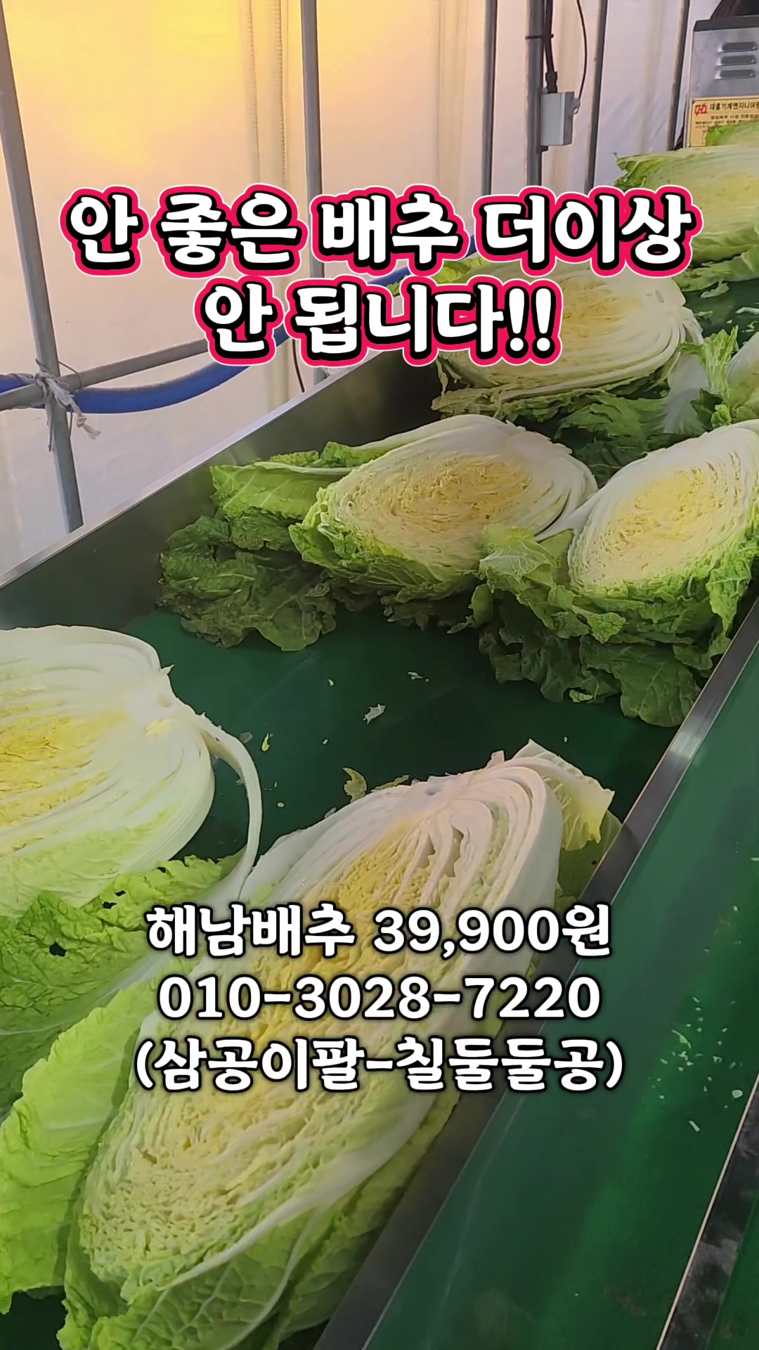 @한입의행복