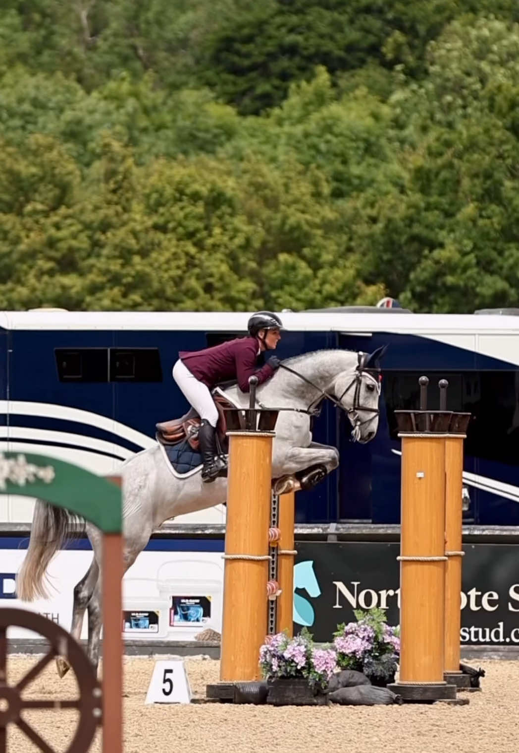 @Lucy Struthers Horses