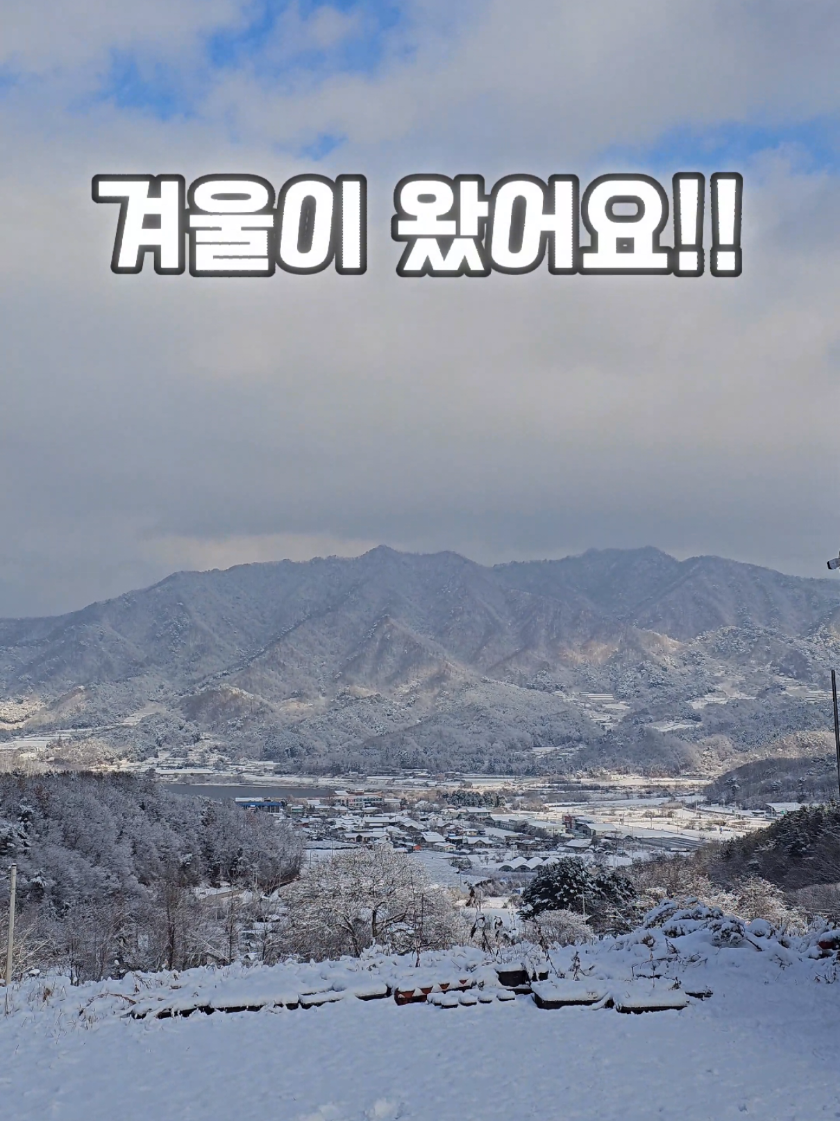 @식물의정석 가든센터