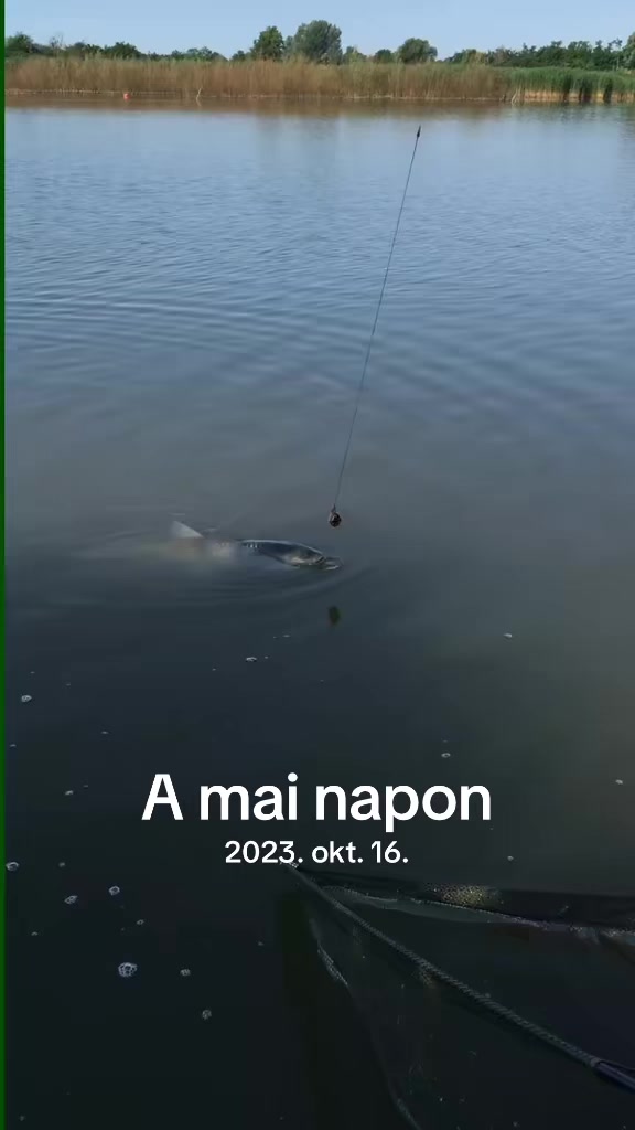 @🇭🇺CarpHunter🎣Dénes🇭🇺