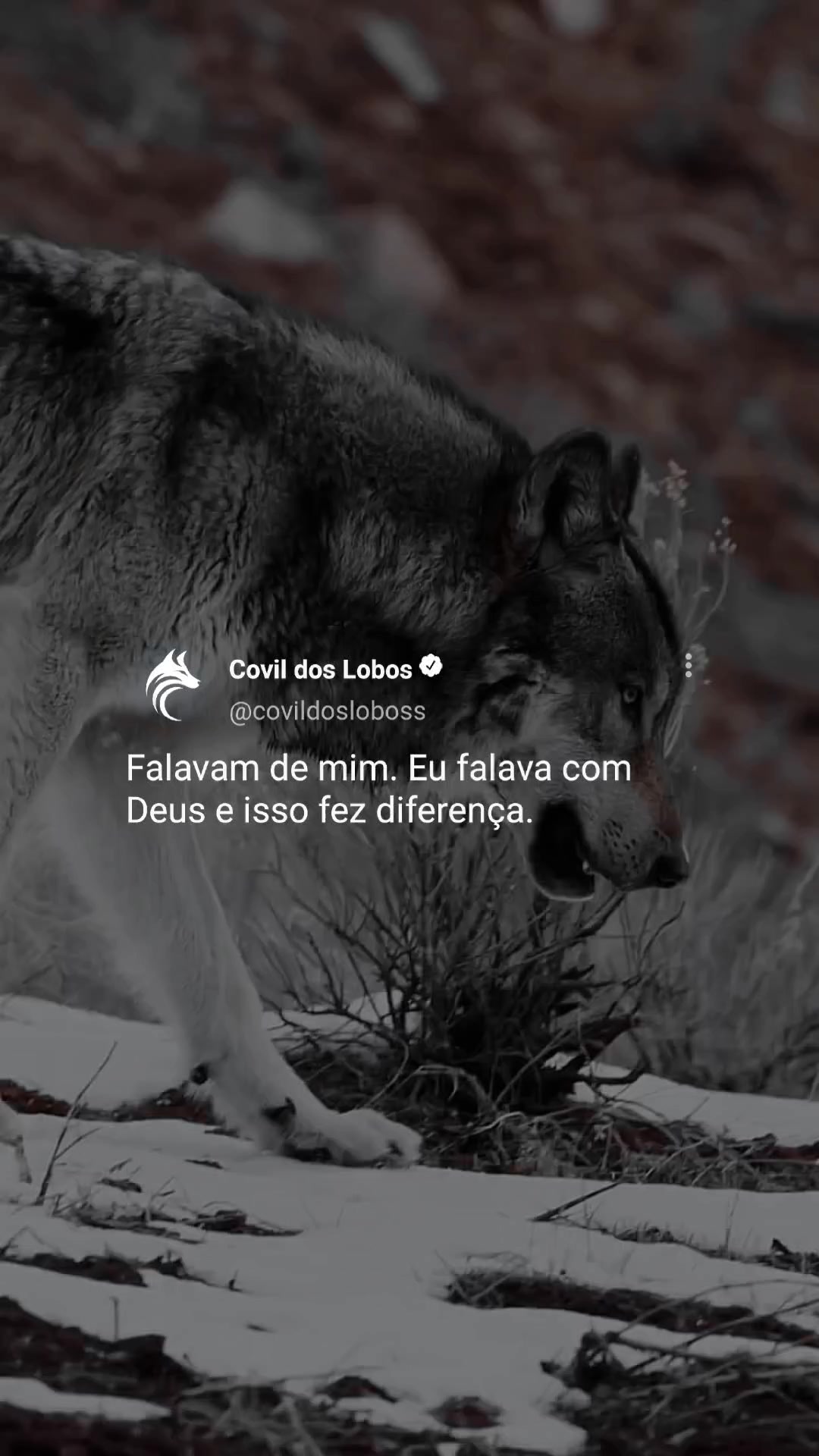 @Covil Dos Lobos