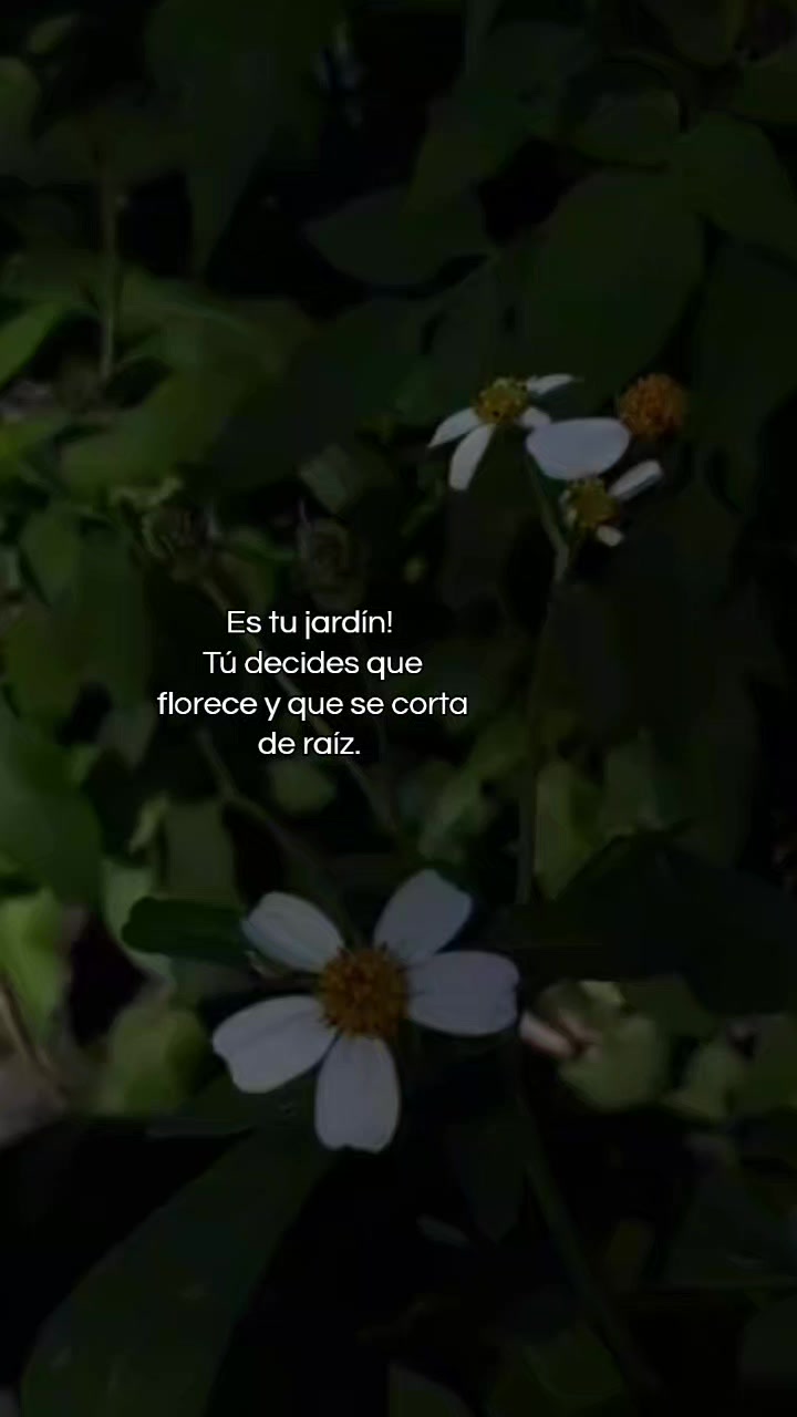 @Mardemociones🌊