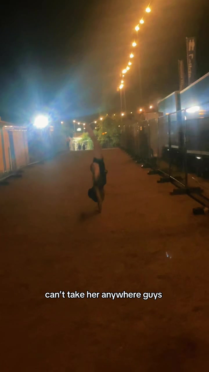 @𝐄𝐕𝐄𝐑𝐋𝐘𝐍