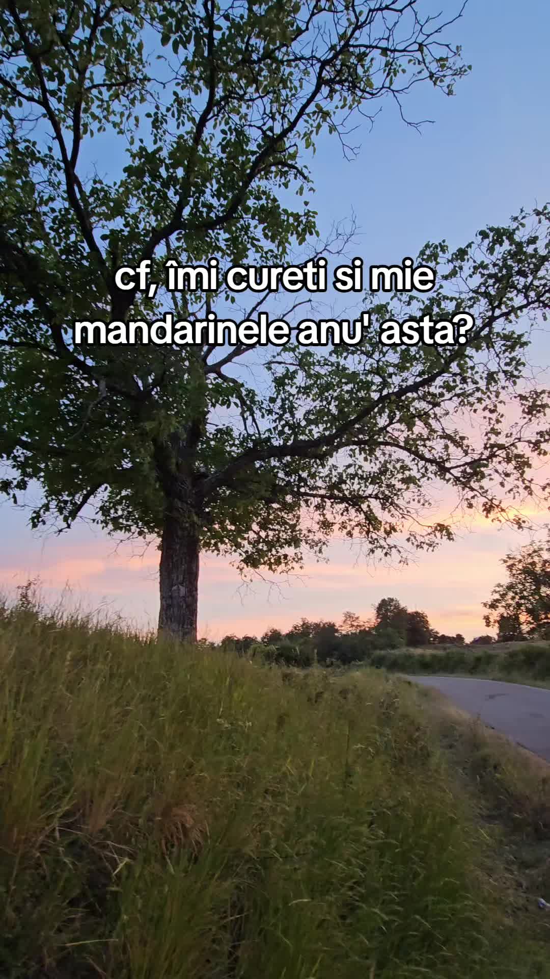 @Alex Nitu 🔐