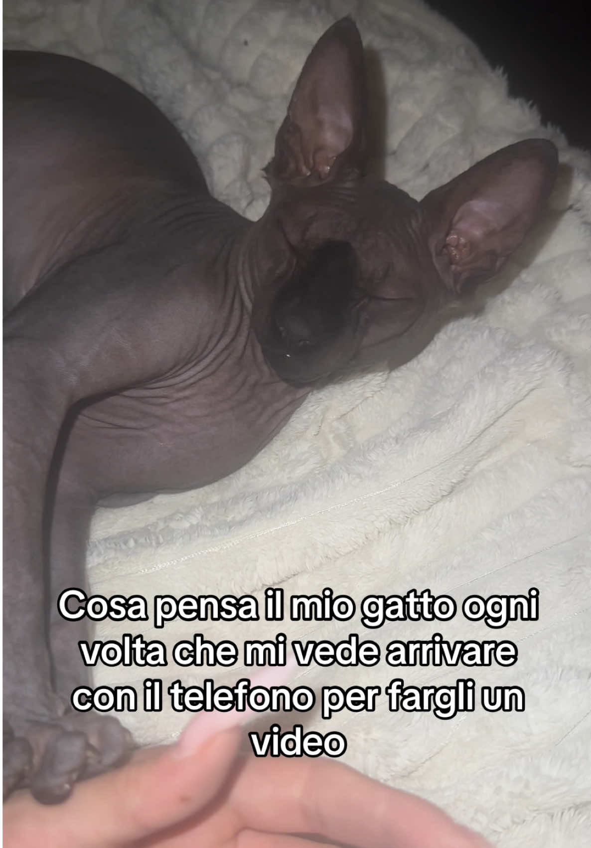 @Borderlady🌙