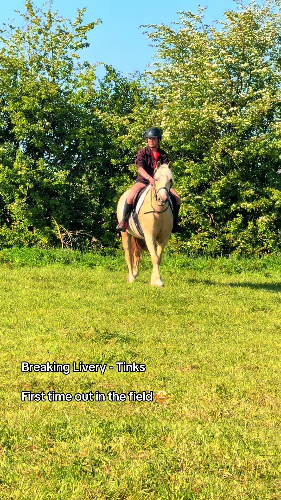 @LW_Equestrian