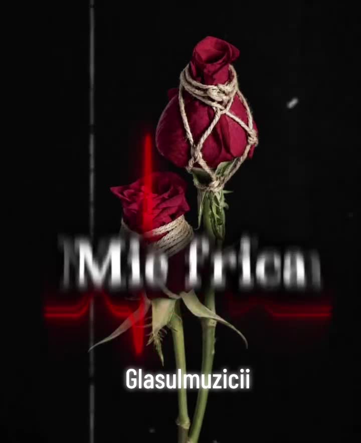 @🎼Glasul muzicii 🎶🎶