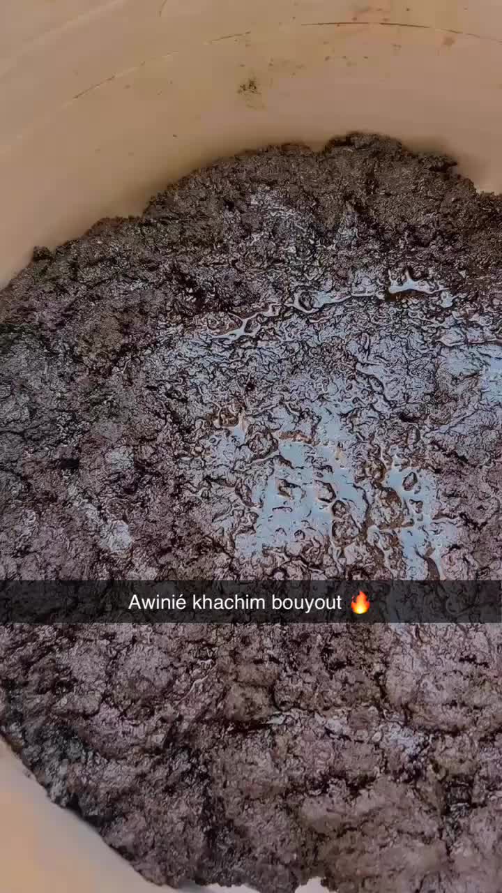 @bakhoural_soultana