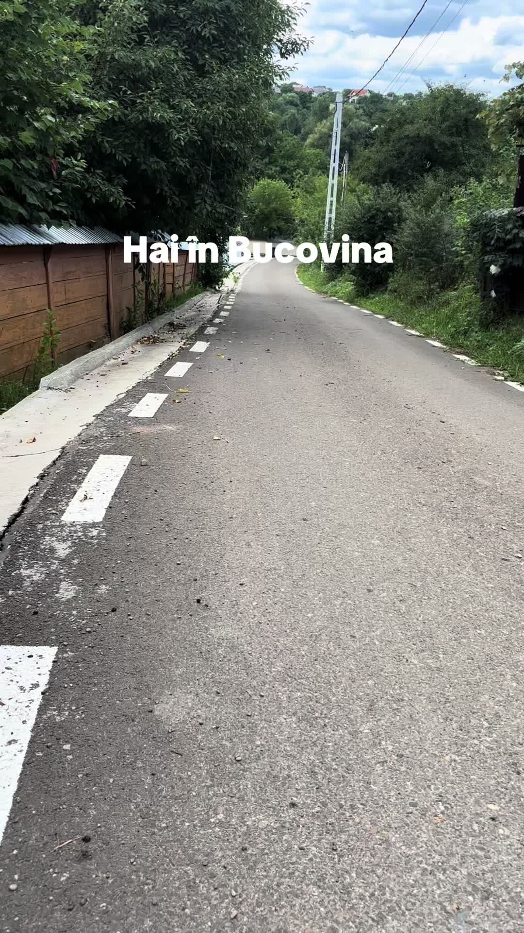 @NECHITA.NICHITOI
