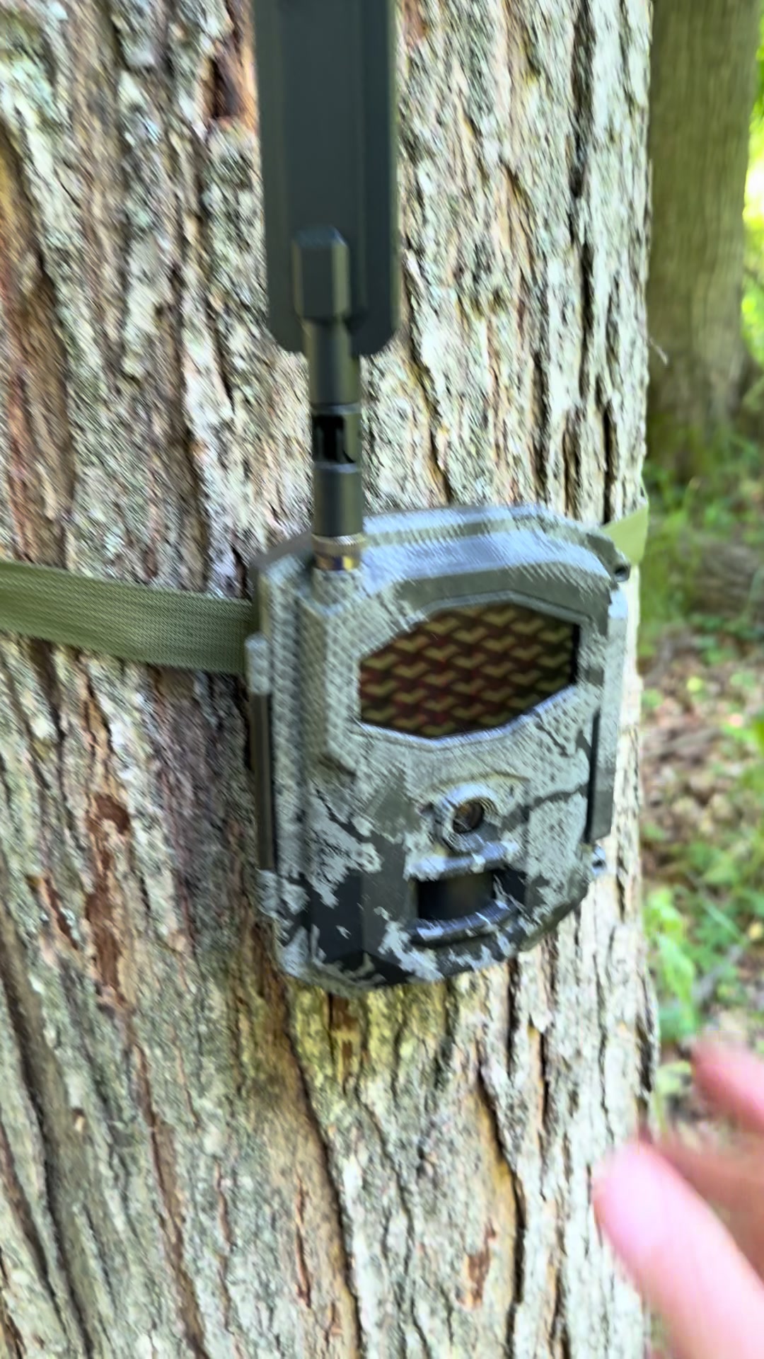 @BowHunterPlanet