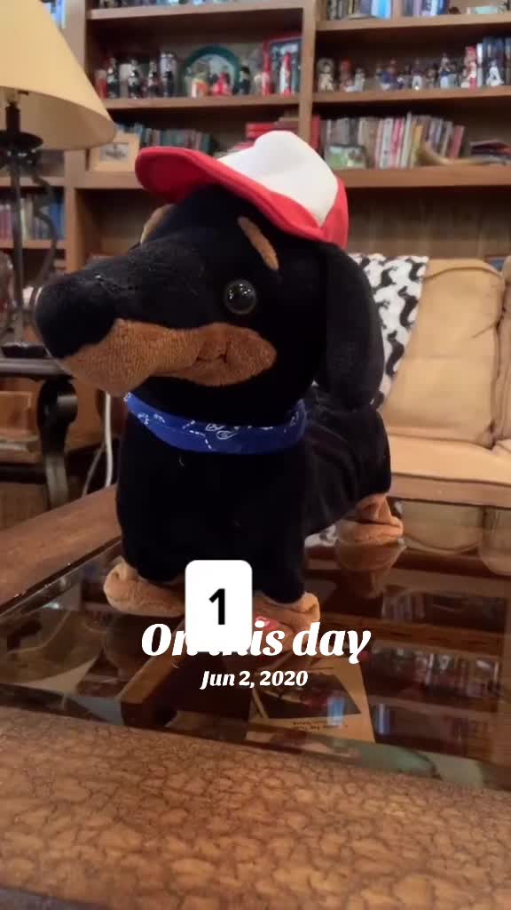 @@ballparkdoxies