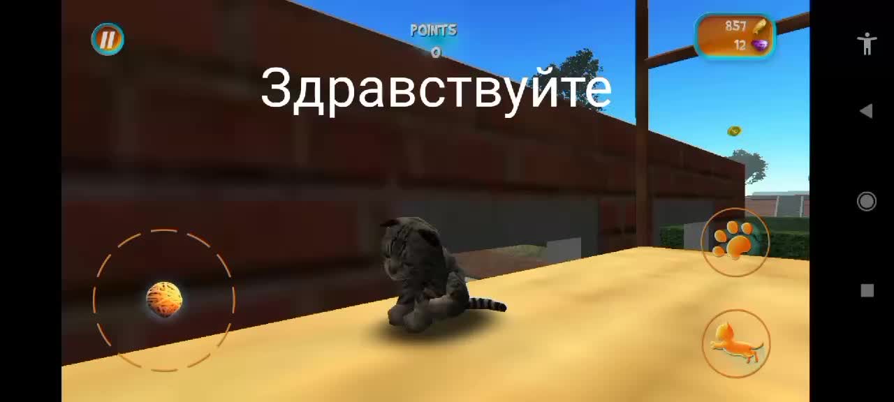 @OldGames (🦨💭)